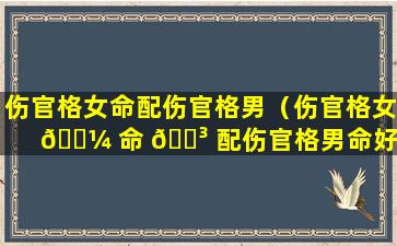 伤官格女命配伤官格男（伤官格女 🌼 命 🌳 配伤官格男命好吗）